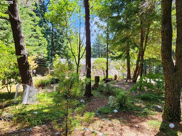 41998 HUMBUG Way, Port Orford, OR 97465