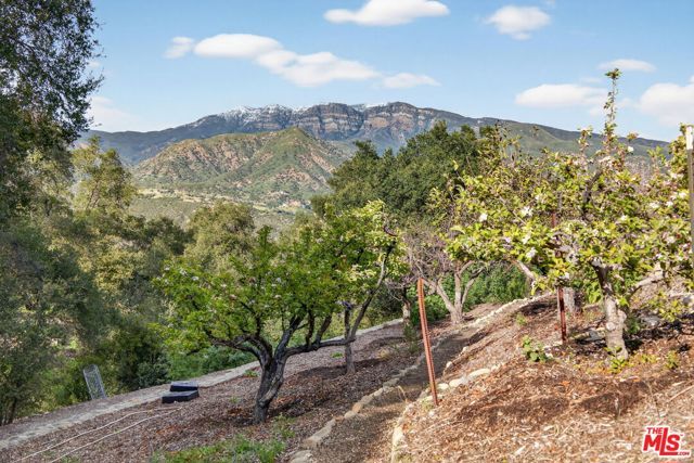 11400 Topa Vista Road, Ojai, CA 93060