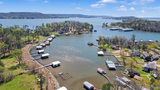 170 Cedar Circle, Guntersville, AL 35976