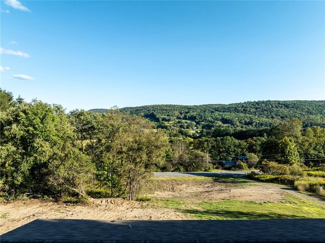 7545 Charlotte Creek Road, Davenport, NY 13750