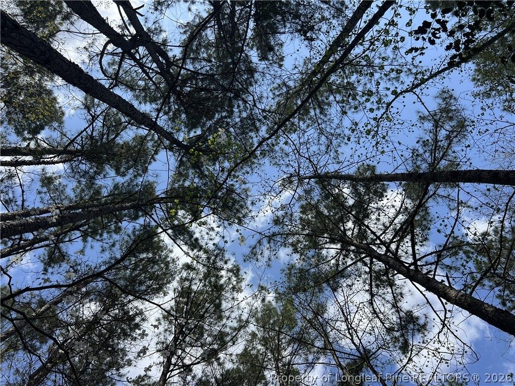tbd (5.05 acres) NC 27 Highway W, Sanford, NC 27332 — photo 10