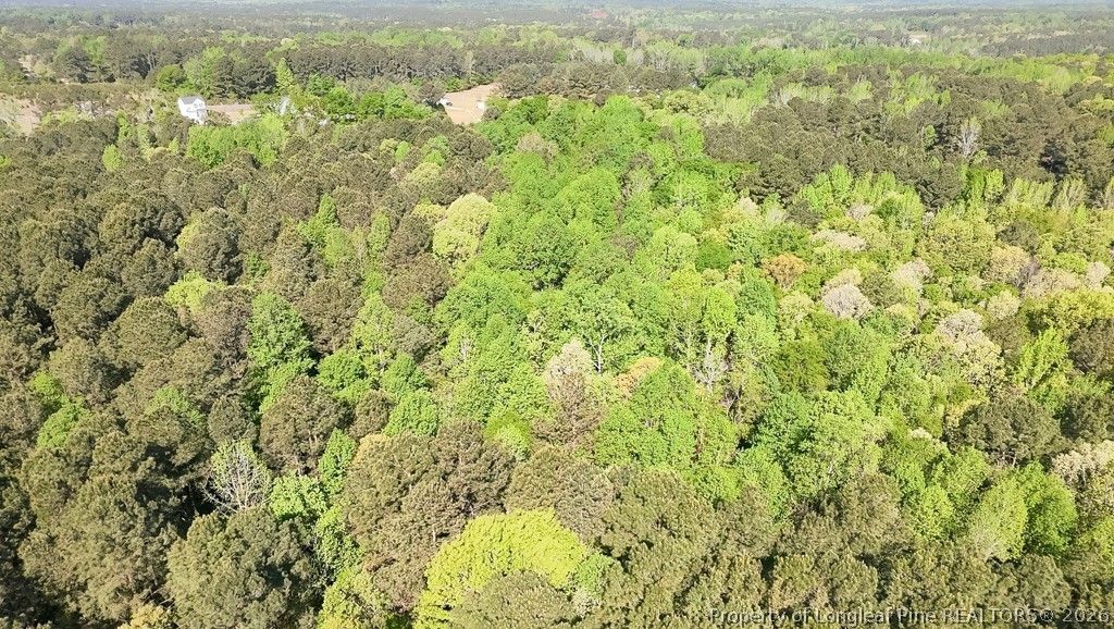 tbd (5.05 acres) NC 27 Highway W, Sanford, NC 27332 — photo 3