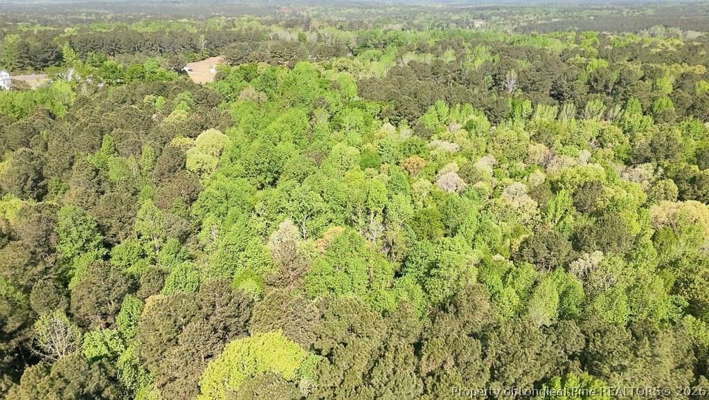 tbd (5.05 acres) NC 27 Highway W, Sanford, NC 27332 — photo 5