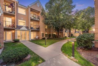 8700 W Evelyn Lane 204, Chicago, IL 60656