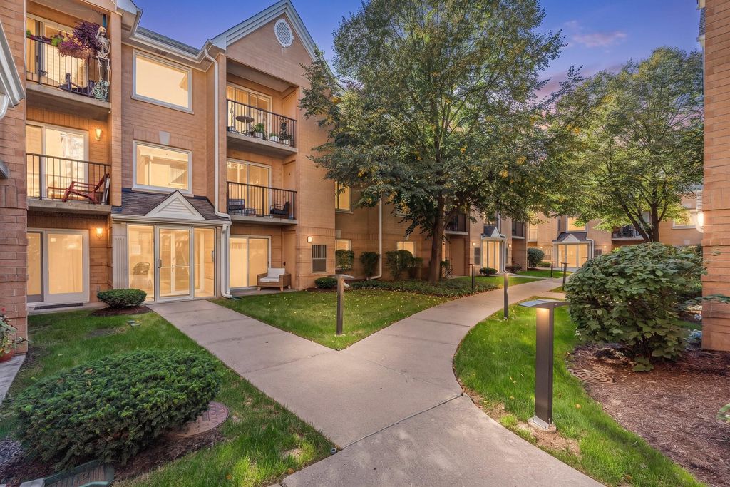 8700 W Evelyn Lane 204, Chicago, IL 60656