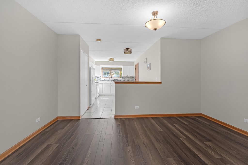 8700 W Evelyn Lane 204, Chicago, IL 60656 — photo 2