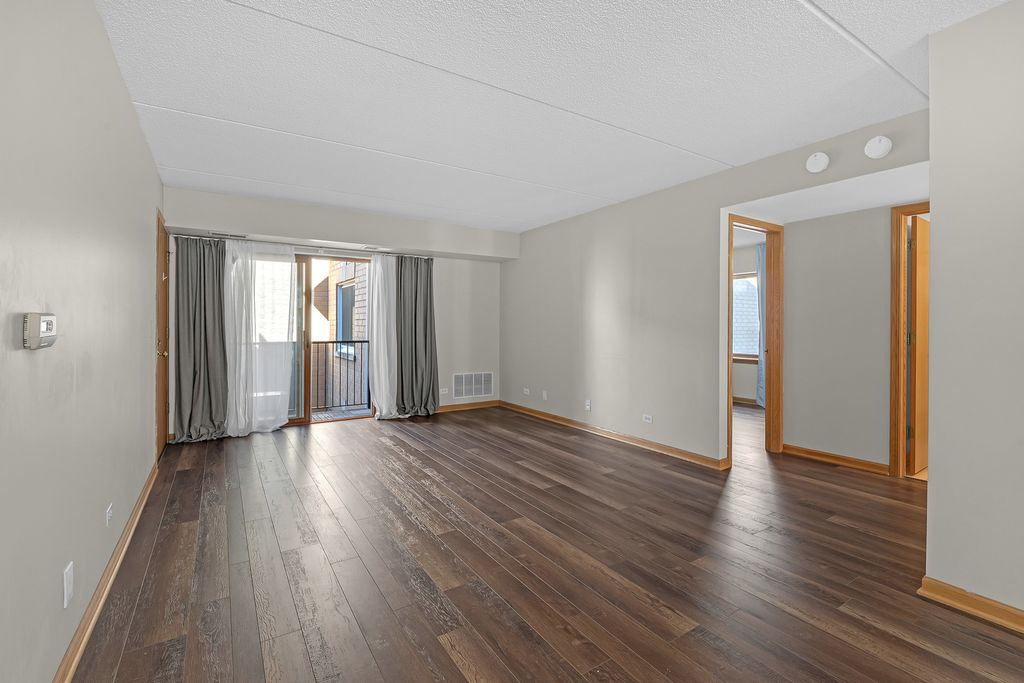 8700 W Evelyn Lane 204, Chicago, IL 60656 — photo 3