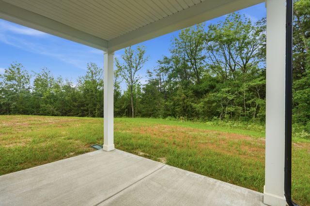 338 Mammoth Trace, Smyrna, TN 37167