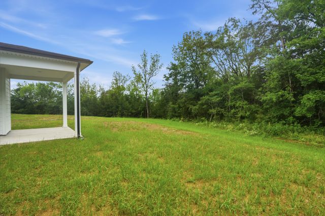 338 Mammoth Trace, Smyrna, TN 37167