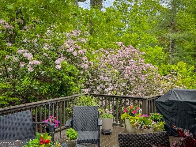 416 Dach Bruecke Gasse, Helen, GA 30545