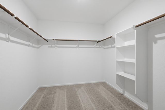 15317 Dapple Bluff Lane, Conroe, TX 77302