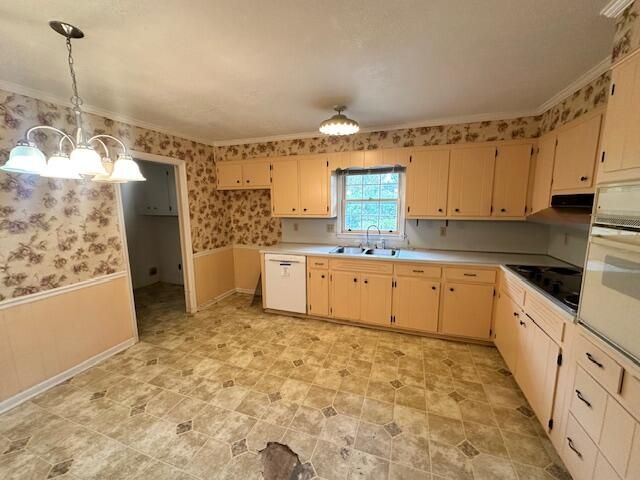 203 Buckhead Court, Augusta, GA 30907