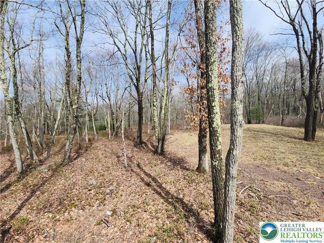 111 Aspen Drive, Penn Forest Twp, PA 18229