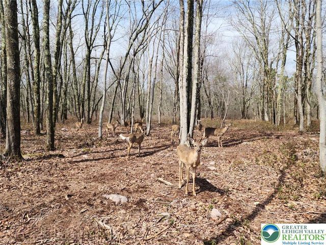 111 Aspen Drive, Penn Forest Twp, PA 18229