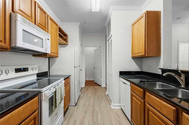 18525 BRIDLE CLUB DRIVE 18525, Tampa, FL 33647