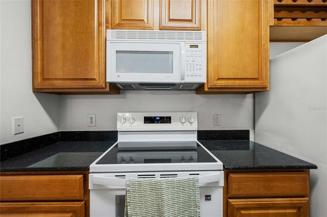 18525 BRIDLE CLUB DRIVE 18525, Tampa, FL 33647