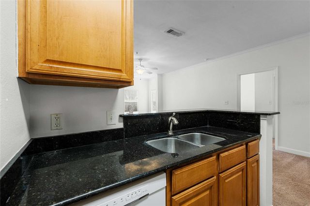 18525 BRIDLE CLUB DRIVE 18525, Tampa, FL 33647