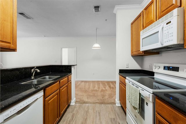 18525 BRIDLE CLUB DRIVE 18525, Tampa, FL 33647
