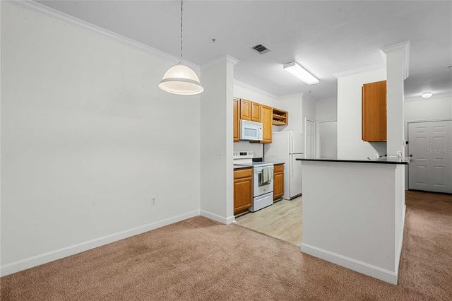 18525 BRIDLE CLUB DRIVE 18525, Tampa, FL 33647