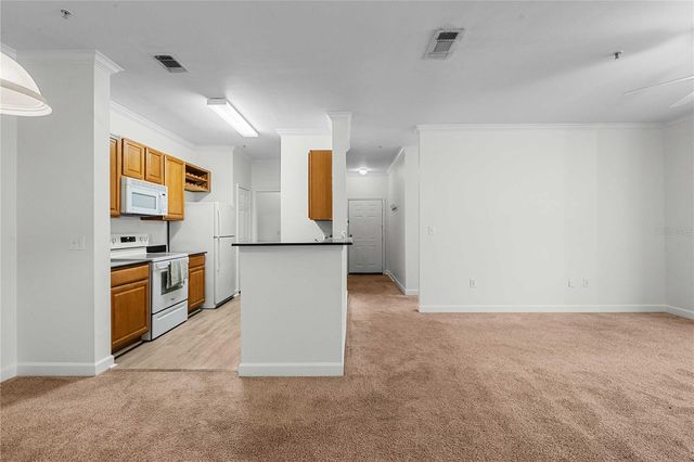 18525 BRIDLE CLUB DRIVE 18525, Tampa, FL 33647