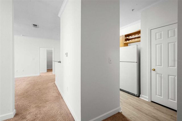 18525 BRIDLE CLUB DRIVE 18525, Tampa, FL 33647