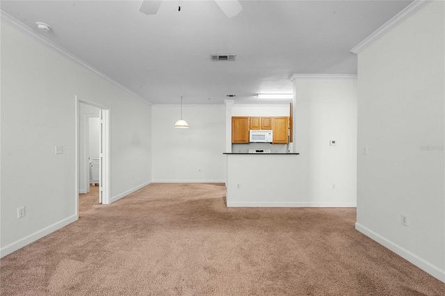 18525 BRIDLE CLUB DRIVE 18525, Tampa, FL 33647