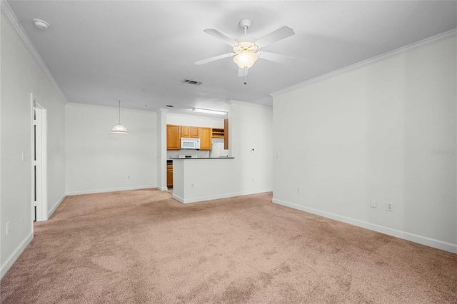 18525 BRIDLE CLUB DRIVE 18525, Tampa, FL 33647