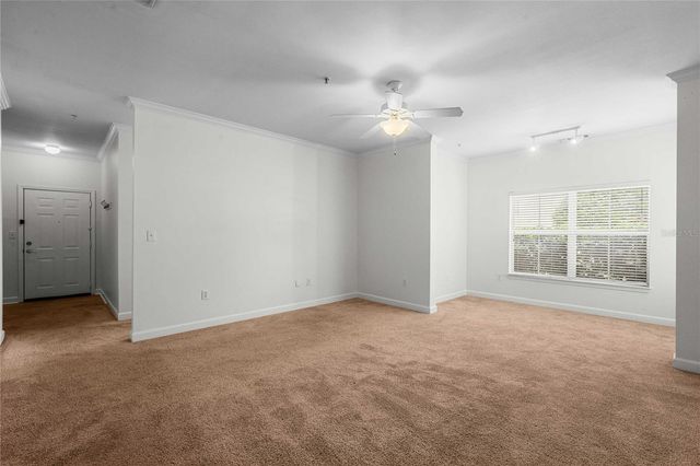 18525 BRIDLE CLUB DRIVE 18525, Tampa, FL 33647