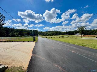 3220 Plum Tree Drive, Priceville, AL 35603