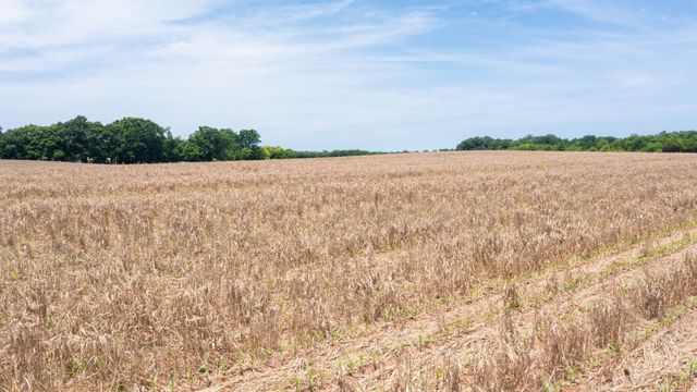 332 Coble Rd, Shelbyville, TN 37160
