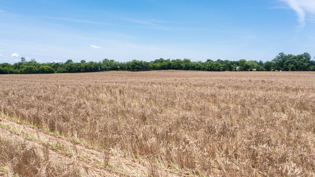 332 Coble Rd, Shelbyville, TN 37160