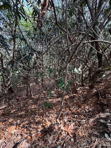 Lot 38 High Peak Road, Hendersonville, NC 28739