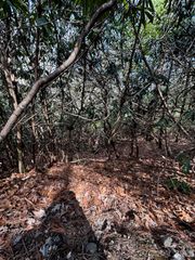 Lot 38 High Peak Road, Hendersonville, NC 28739