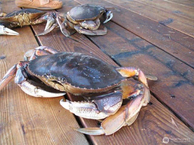 837 Cape Drive, Friday Harbor, WA 98250