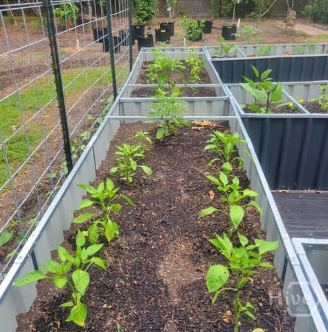 26 Nancy Place, Savannah, GA 31406