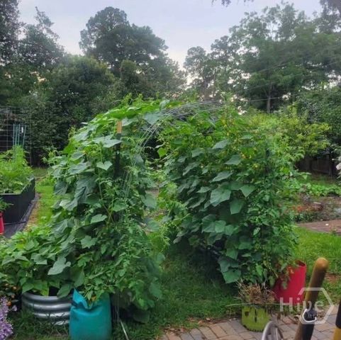 26 Nancy Place, Savannah, GA 31406