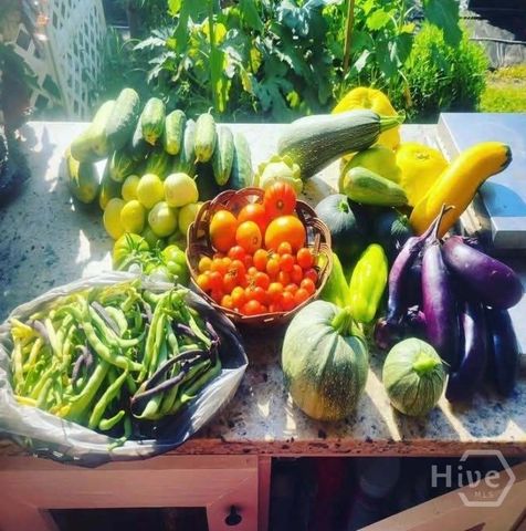 26 Nancy Place, Savannah, GA 31406