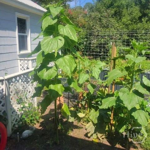 26 Nancy Place, Savannah, GA 31406