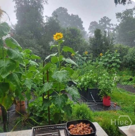 26 Nancy Place, Savannah, GA 31406