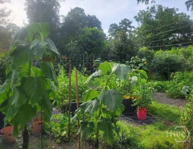 26 Nancy Place, Savannah, GA 31406