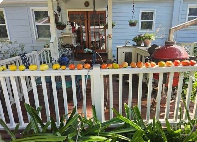 26 Nancy Place, Savannah, GA 31406