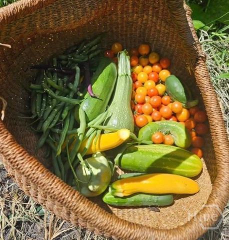 26 Nancy Place, Savannah, GA 31406