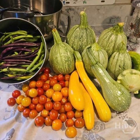 26 Nancy Place, Savannah, GA 31406