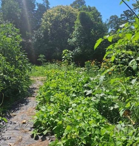 26 Nancy Place, Savannah, GA 31406