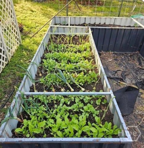 26 Nancy Place, Savannah, GA 31406