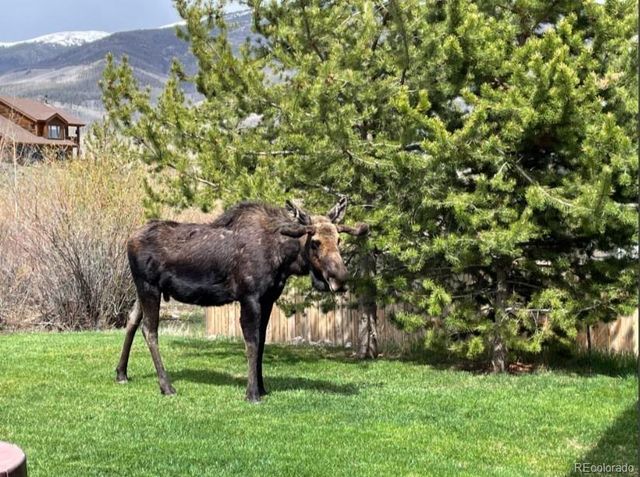 518 Bighorn Circle, Silverthorne, CO 80498
