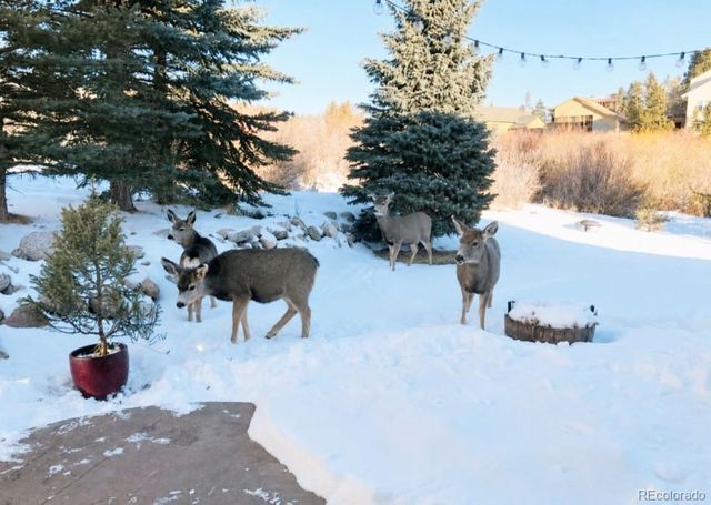 518 Bighorn Circle, Silverthorne, CO 80498