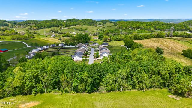 2445 Poplar Ridge Court, Piney Flats, TN 37686
