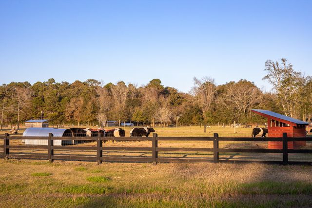 8035 Jack Island Drive, Johns Island, SC 29455