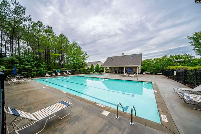 552 Eagles Rest Drive, Chapin, SC 29036